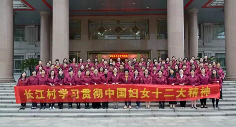 大红鹰dhy村召开学习贯彻中国妇女十二大精神会议